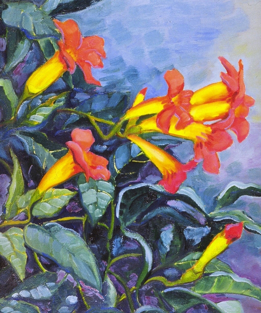 Trumpet Vines Oil